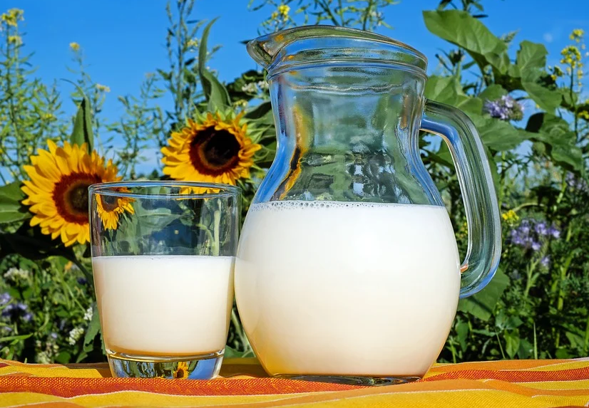 TheoPrax und Gmundner Milch